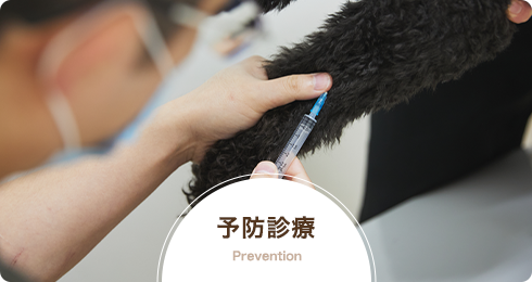 予防診療 Prevention