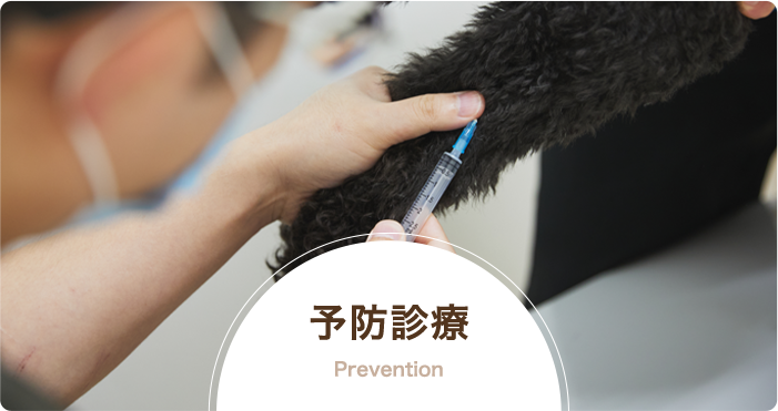 予防診療 Prevention